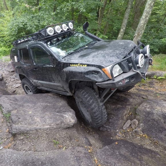 Meet your Posher, David - Picture 1 of 1